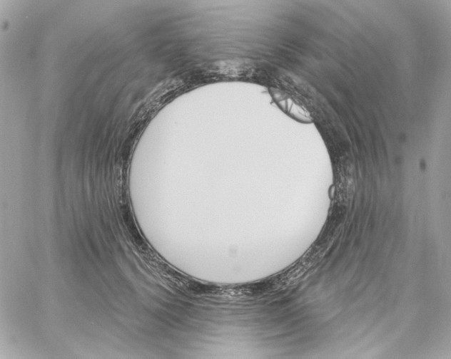 X0000059060656200511041730