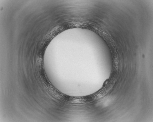 X0000059060657200511041730