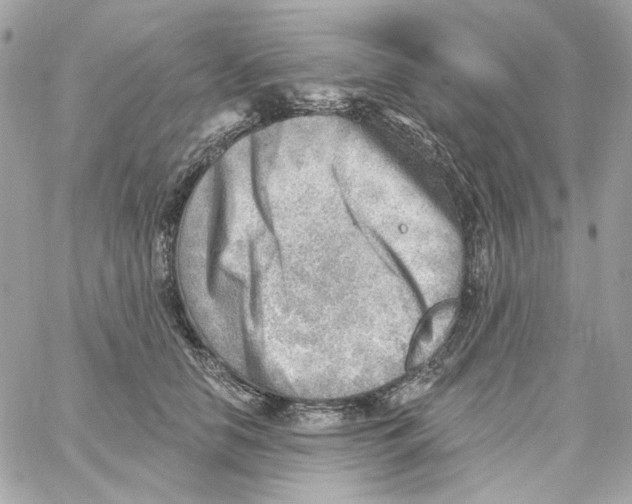 X0000059060658200511041730