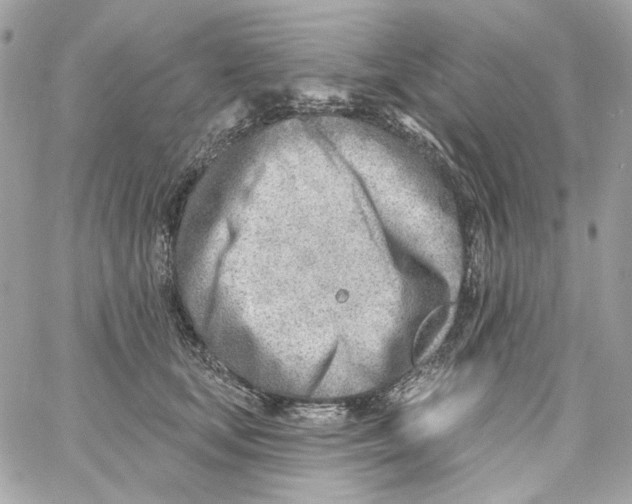 X0000059060659200511041730