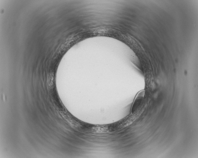 X0000059060660200511041730