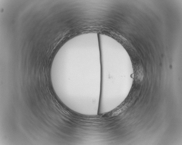 X0000059060661200511041730