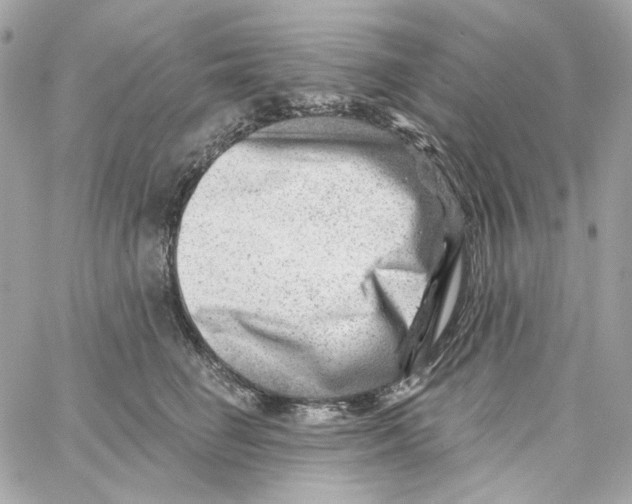 X0000059060662200511041730