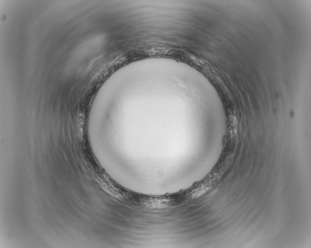 X0000059060664200511041730