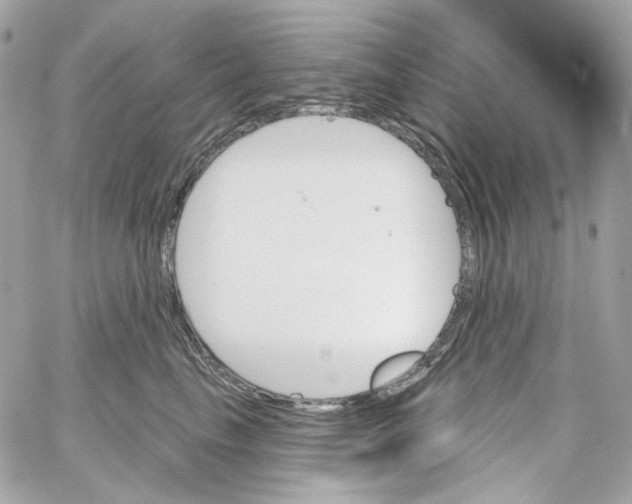 X0000059060665200511041730