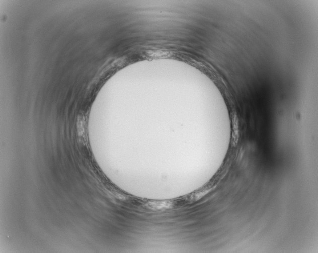 X0000059060667200511041730