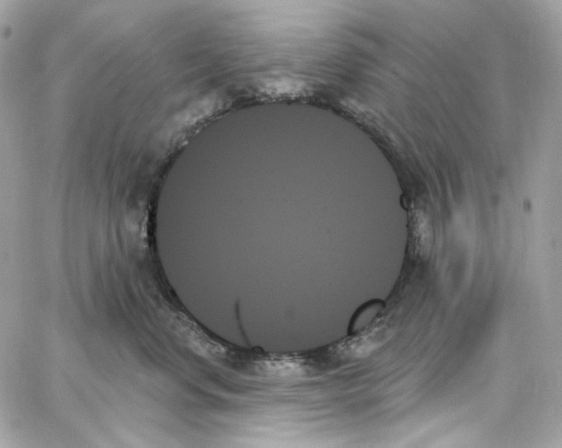 X0000059060668200511041730