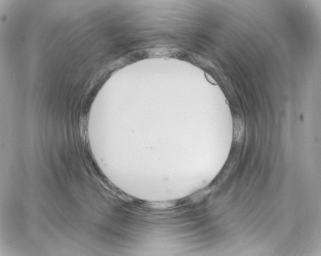 X0000059060670200511041730