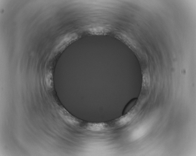 X0000059060671200511041730