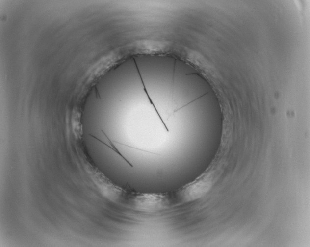 X0000059060672200511041730