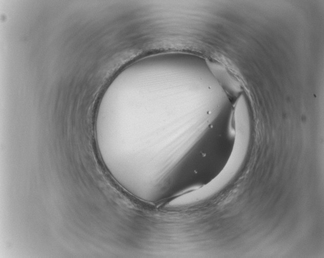 X0000059060673200511041729