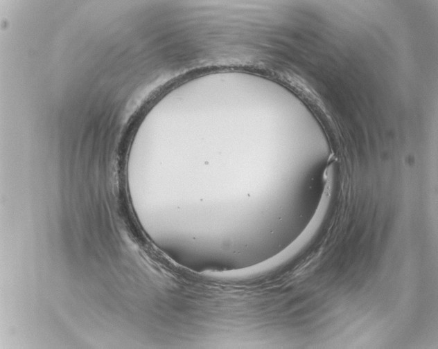 X0000059060676200511041729