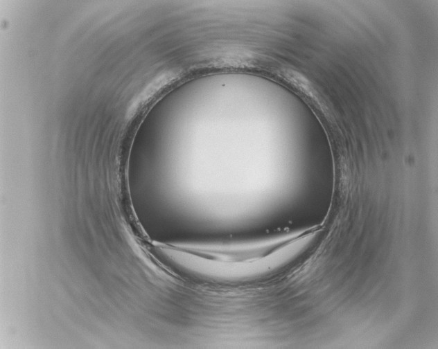 X0000059060677200511041729