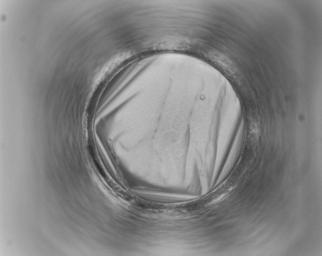 X0000059060678200511041729