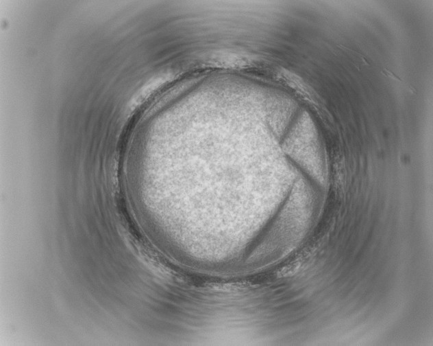 X0000059060679200511041729