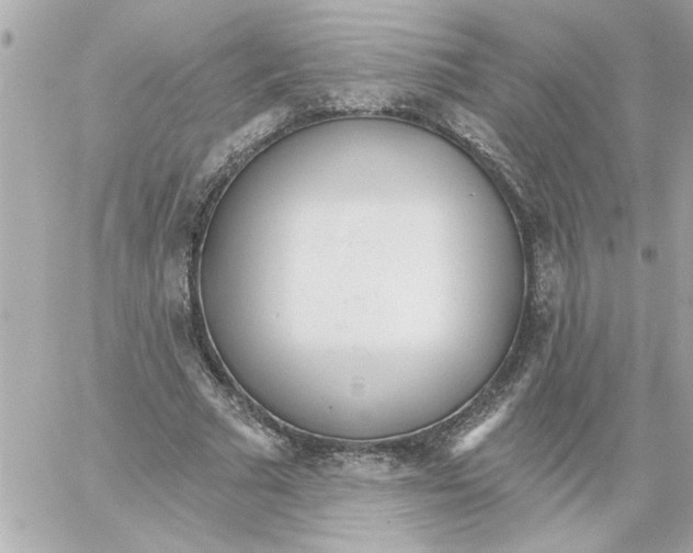 X0000059060681200511041729