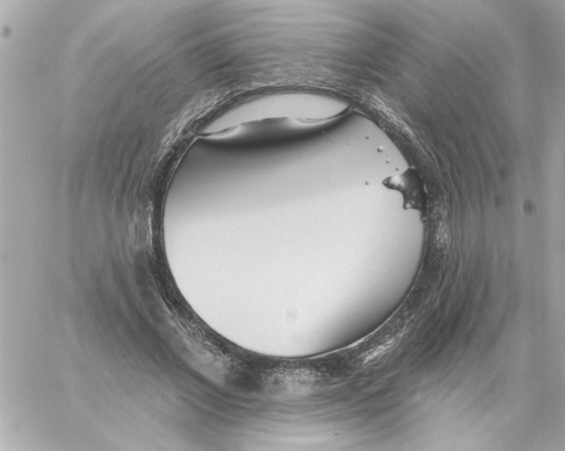 X0000059060685200511041729