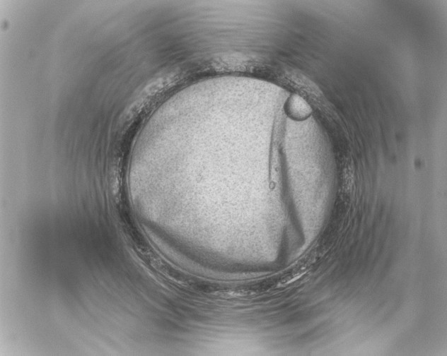 X0000059060687200511041729