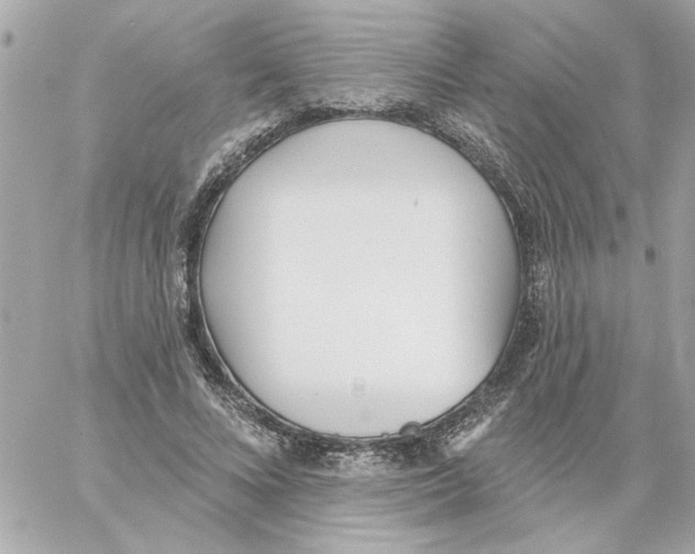 X0000059060688200511041729