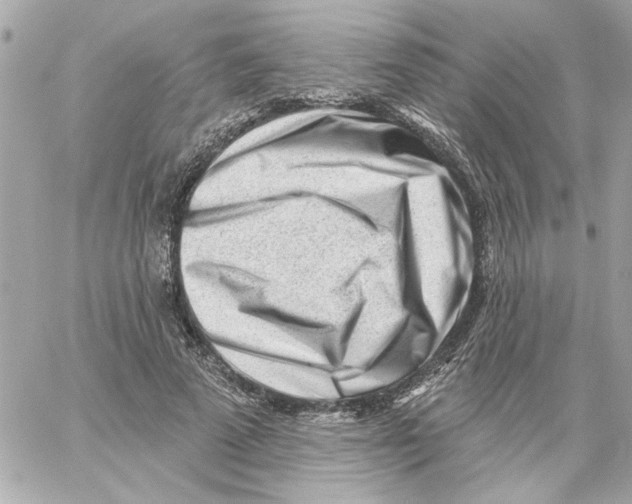 X0000059060689200511041729