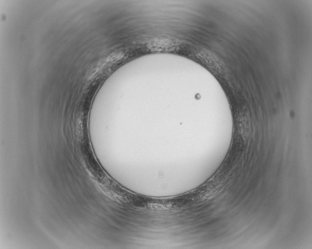 X0000059060690200511041729