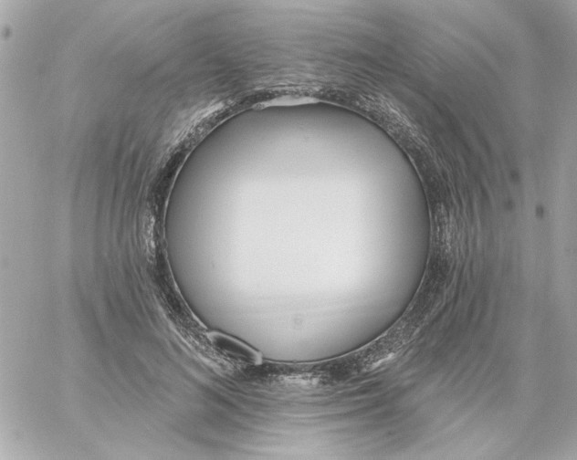 X0000059060692200511041729