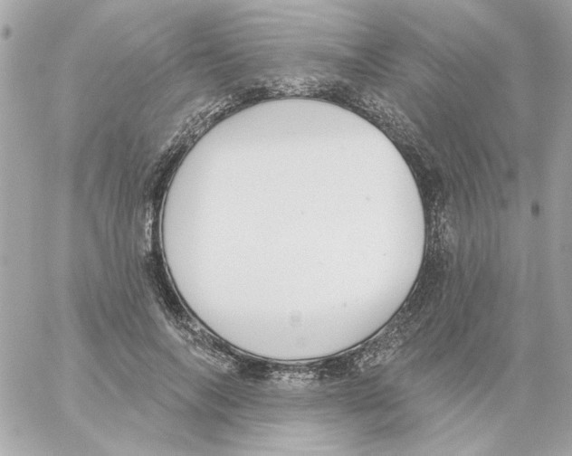 X0000059060694200511041729