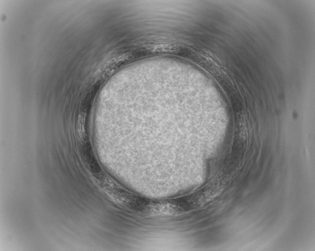 X0000059060695200511041729