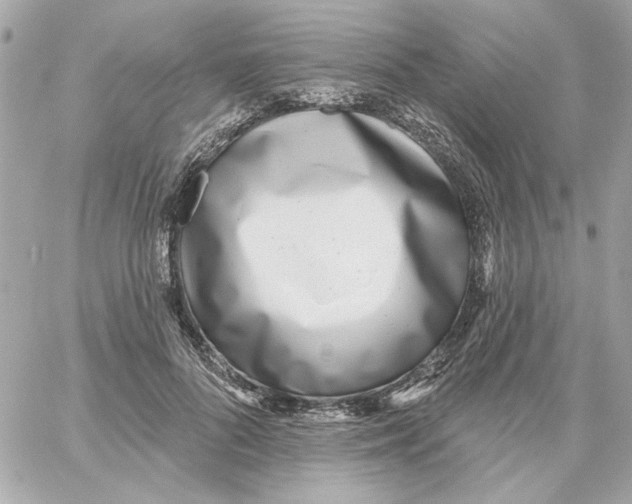 X0000059060696200511041729