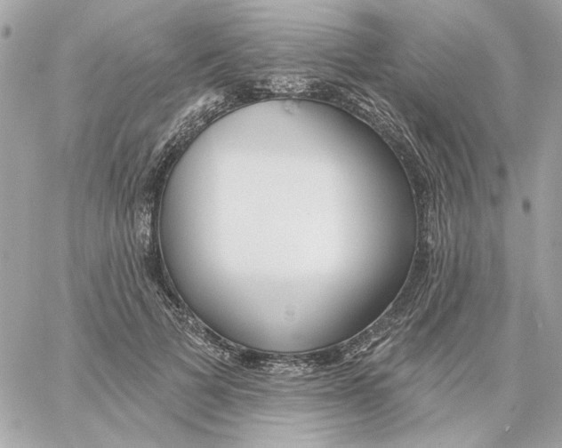 X0000059060697200511041729