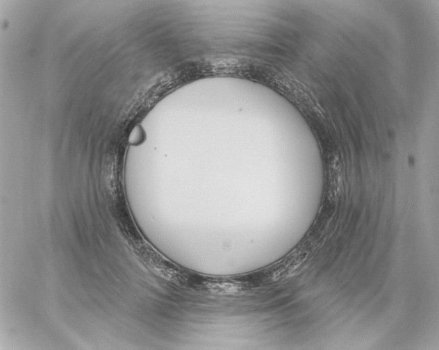 X0000059060698200511041729