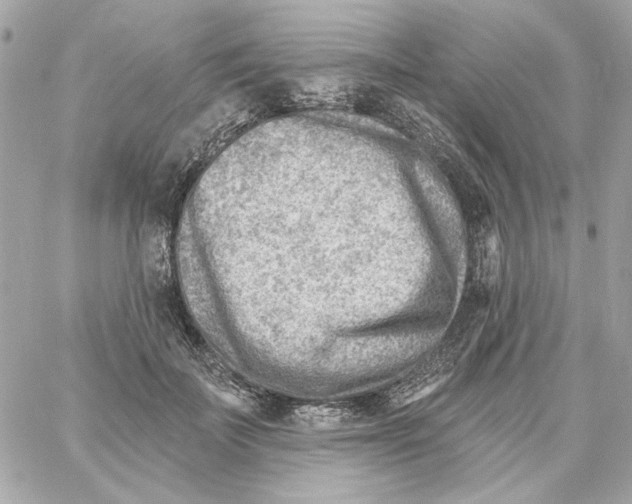 X0000059060699200511041729