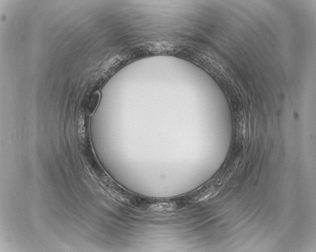 X0000059060700200511041729