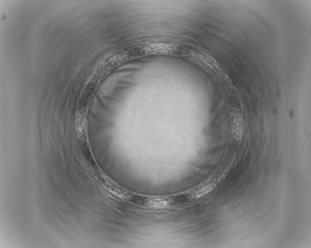 X0000059060701200511041729