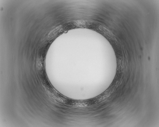 X0000059060702200511041729