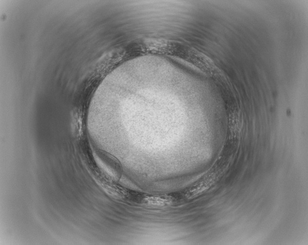 X0000059060703200511041729