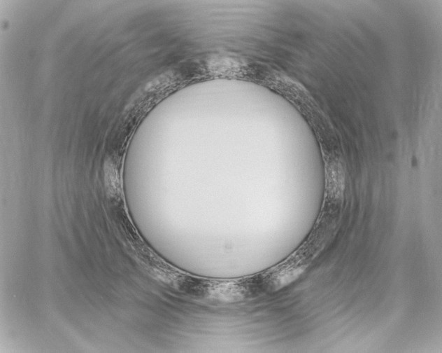 X0000059060705200511041729