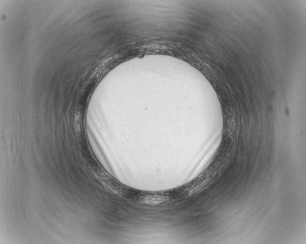 X0000059060708200511041729