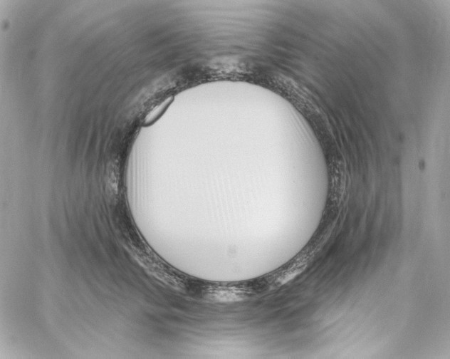 X0000059060710200511041729