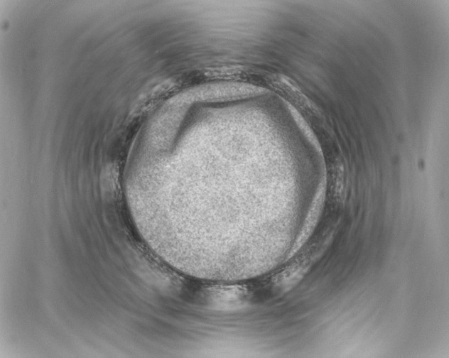 X0000059060711200511041729