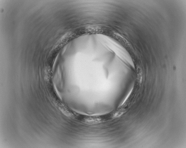 X0000059060712200511041729