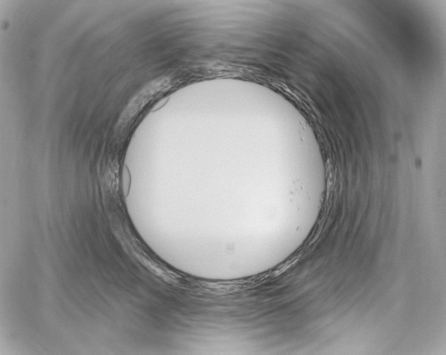 X0000059060713200511041729