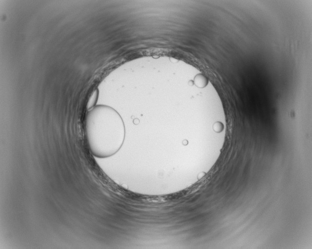 X0000059060715200511041728