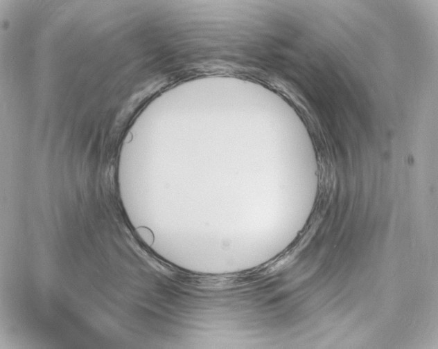 X0000059060717200511041728