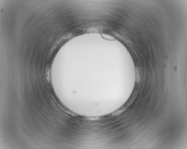 X0000059060718200511041728