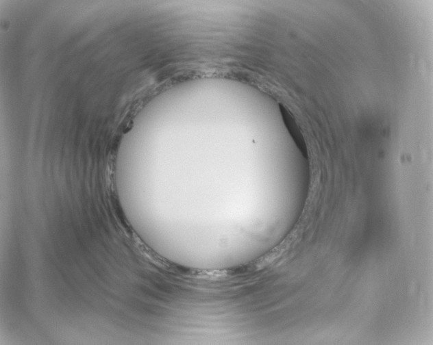 X0000059060720200511041728