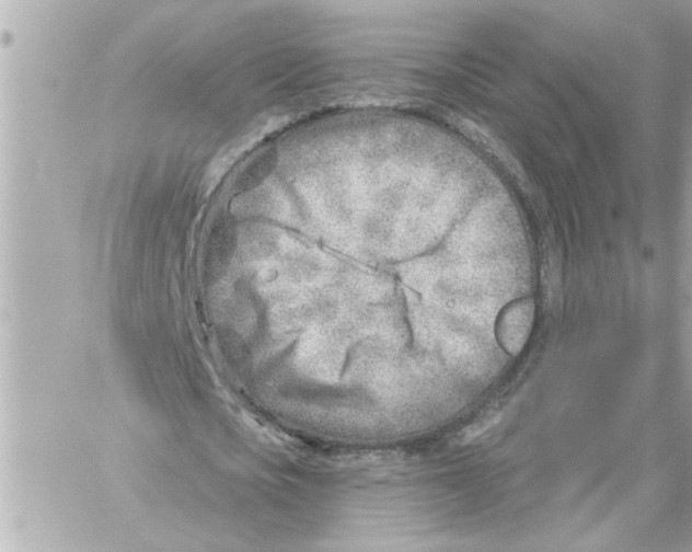 X0000059060721200511041728