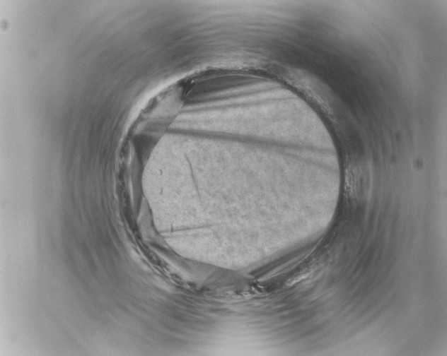 X0000059060724200511041728