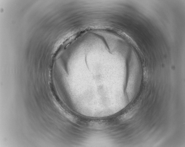 X0000059060725200511041728