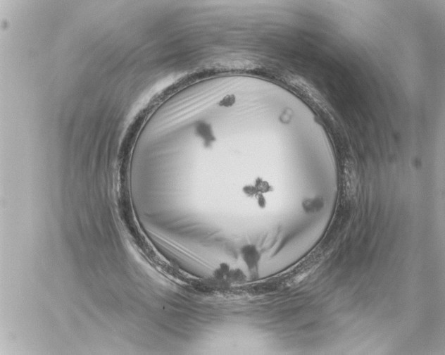 X0000059060726200511041728